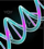 'Our' Jam?son Families Y-DNA - DYS Profile